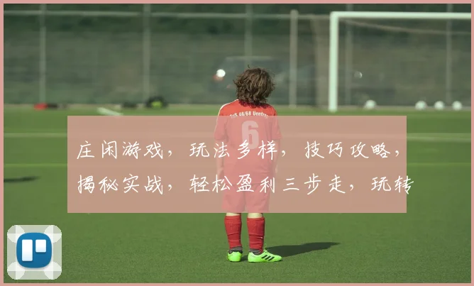 庄闲游戏，玩法多样，技巧攻略，揭秘实战，轻松盈利三步走，玩转娱乐场