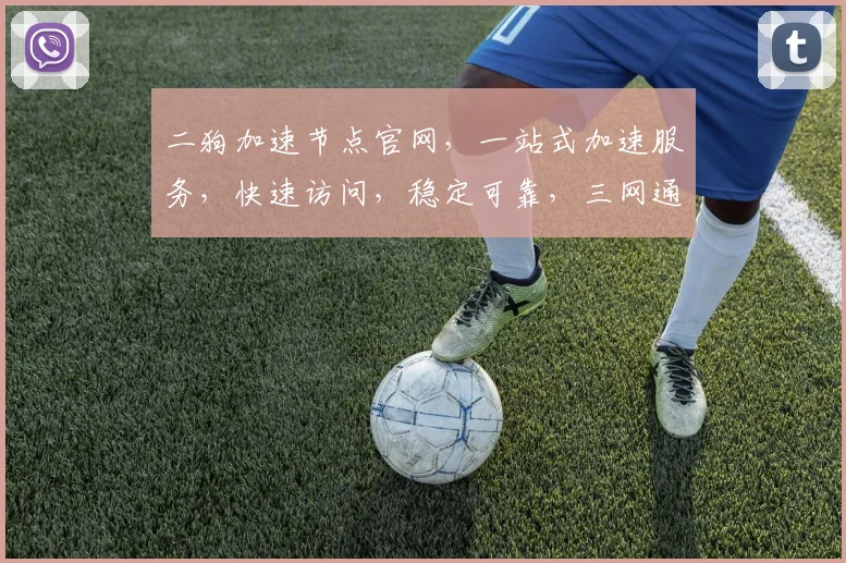 二狗加速节点官网，一站式加速服务，快速访问，稳定可靠，三网通，免费试用，惊喜不断，体验无限